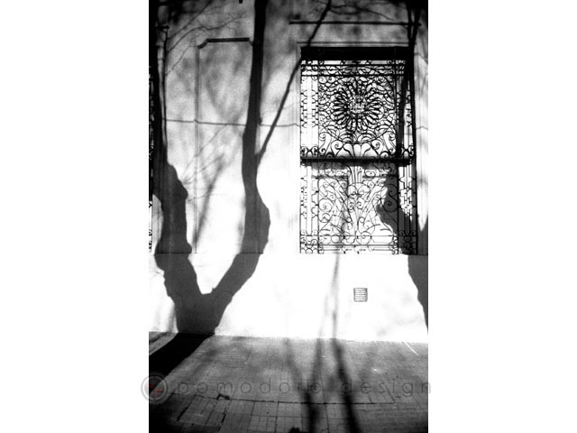 Architectural Photography