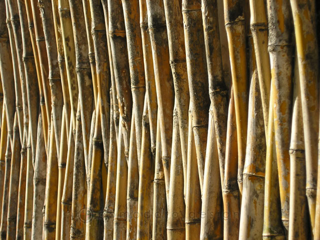 Architectural Photography