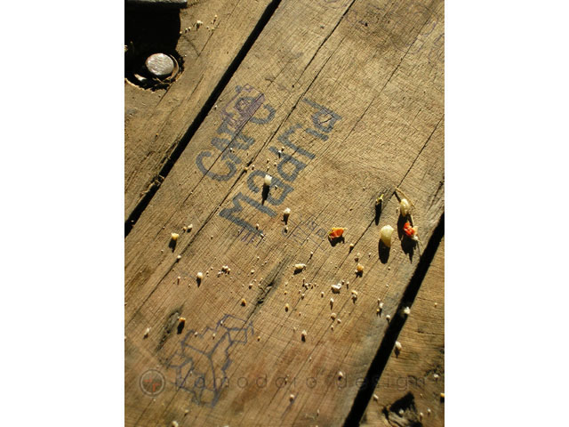 Architectural Photography