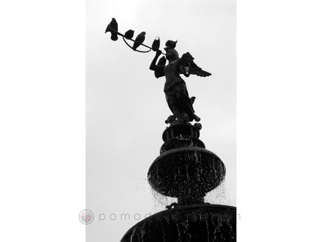 Cityscape Photography