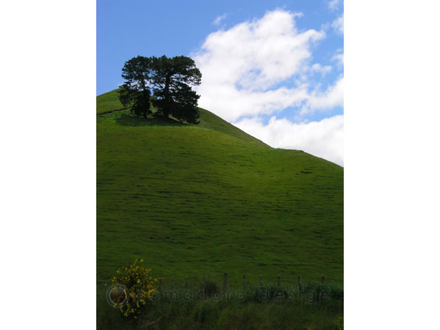 Landscape Photography