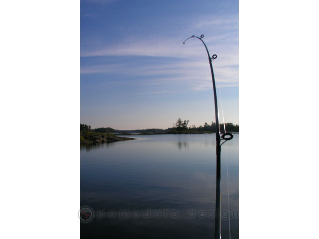 Landscape Photography