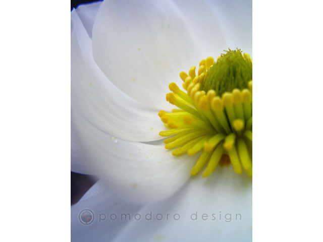 Nature Photography