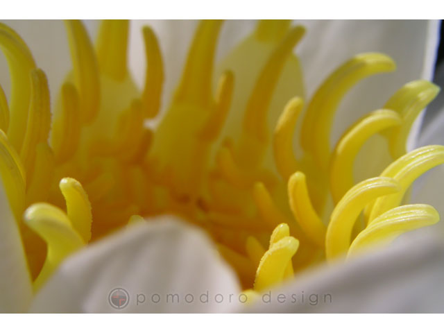 Nature Photography