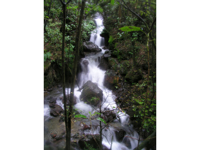 Nature Photography