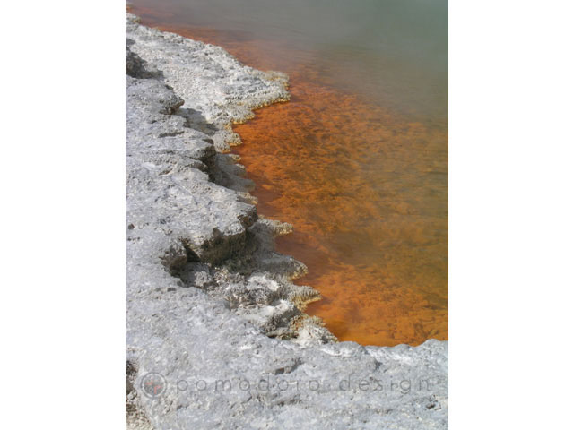 Nature Photography