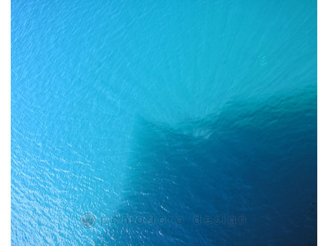 Nature Photography